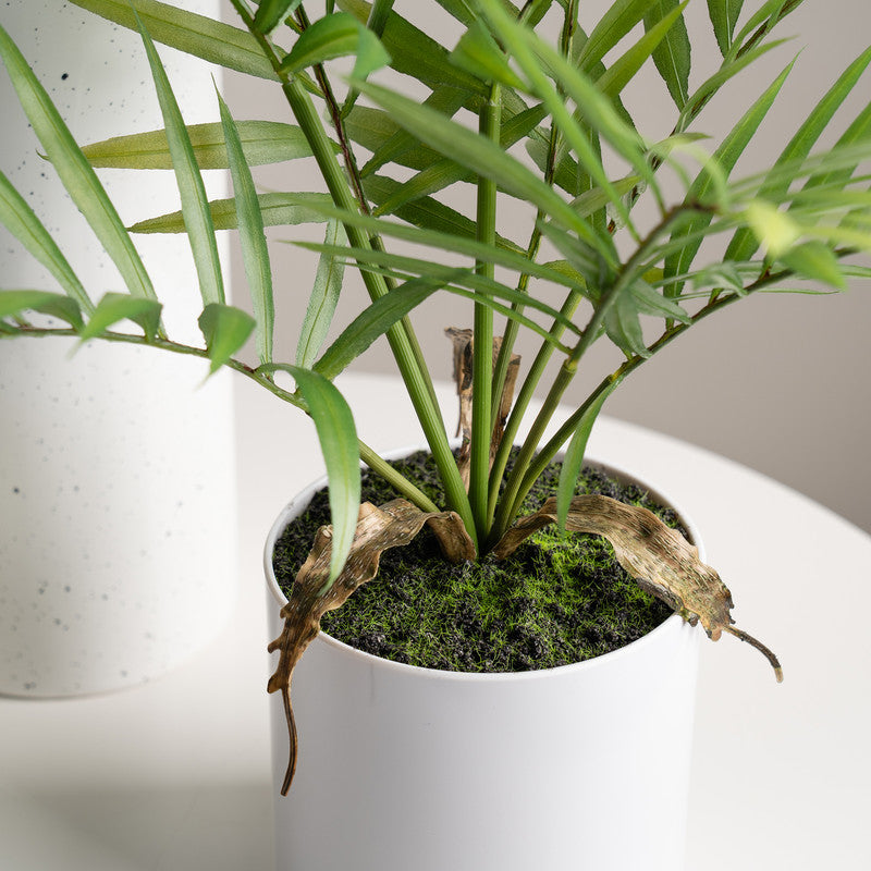 40cm Artificial Fern Tree in White Plastic Pot